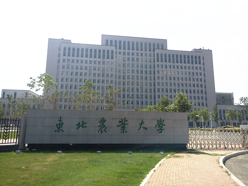 東北農(nóng)業(yè)大學(xué)_副本_副本.jpg
